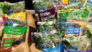 Half Price Bird Food Club