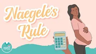 Naegele's Rule &raquo; Maternity Nursing Practice Questions