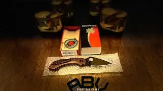 Spyderco Dragonfly 2 Micro-melt PD-#1 sprintrun