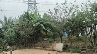 Radha village food is live! ఉప్పుడు బియ్యం జావా మా పల్లెటూరి పొలాలు