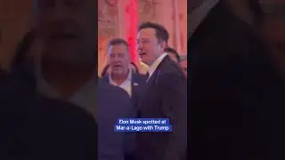 Elon Musk spotted at Mar-a-Lago with Trump on Election Night