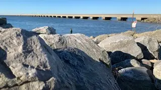 Salt water FISHING with RAT-L-TRAP (Lure Theifs!)