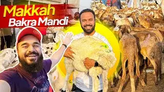 Makkah Ki Bakra 🐐 Mandi Latest Hajj 2024 se Pehle 😍