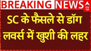 SC Verdict On Stray Dogs: SC के फैसले से Dog Lovers में खुशी की लहर | Delhi NCR | Dog Shelter