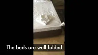 Room Inspection Video