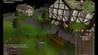 OSRS Pet at 64 Thieving