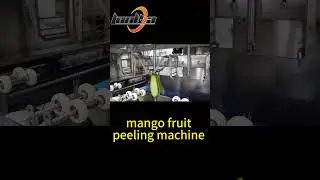 Understand the Entire Process of the Mango Fruit Peeling Machine​ in 20 Seconds