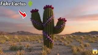 Minecraft: How To Build Canopy Bed 🛏️ & Fake Cactus🌵