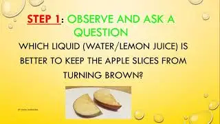 Scientific Method- Apple Experiment