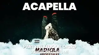 HQ ACAPELLA : SOMEBODY LOVES ME - PARTYNEXTDOOR, Drake
