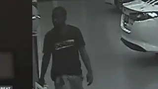 Cars stolen from dealership