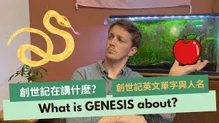 What is GENESIS about? || 聖經說 【創世記】在講什麼？創世記英文單字與人名