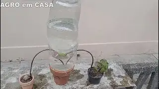 GOTEJADOR QUE DURA MAIS DE UMA SEMANA. PASSO A PASSO