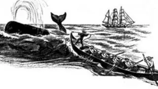 Whaling history of the 19th century