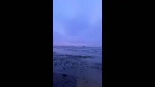 Beach Discovery Live Today｜今日は海辺発見ライブ｜ 2026-01-20 09:46:53