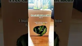 Bring the outdoors in with this free cat hack #catenrichment #diycattoys #indoorcat #catmom