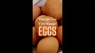 EGGS: &lsquo;Omega 3&rsquo; vs &lsquo;Free Range&rsquo; Eggs - which is the healthiest choice for you? #shorts