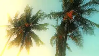 Cinematic video || 📸 Nature Video Sauth Nature Video||✨💯 Creative Nature Video on You Tube || ✨🖤