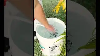 Как промыть регулятор акваланга