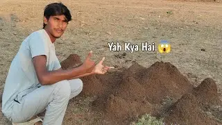 Chamatkari Deemak ka Ghar: Engineering ya Kudrat ka Karishma? 🐜 (Best for curiosity)