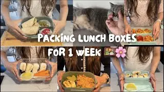 [SUB] VLOG | Lunch boxes for the week 🍱🌸 | Cheap & Easy Recipes | Back to School/work 🎓🏢