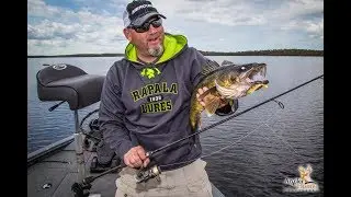 2018 Season | Quebec Gold Dore