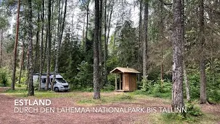 VANLIFE Estland - Mit Camper Gustl durch den Lahemaa Nationalpark bis Tallinn