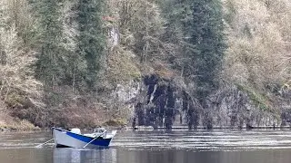 Live From the Lewis River - Early Winter Steelhead Chat