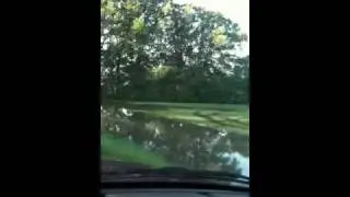 Flooding at Bogota Tennessee from the Obion ruver