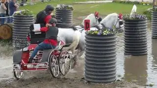 HEIBING Lars, DEN, CAI3# Kronenberg NED, Marathon Ob 3, HORSE PAIR, 22 04 2018