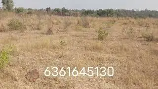 ID..142..9731865069..6361645130