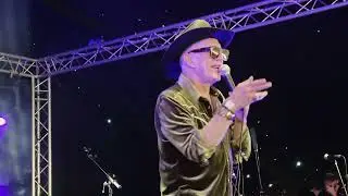 Alabama 3 Acoustic @Gate To Southwell 2025