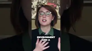 The American Dream Excessive Homes and Environment Impact