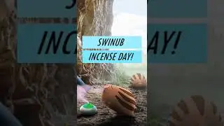 Swinub Incense Day in Pok&eacute;mon Go! #shorts