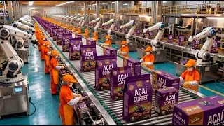 Inside a Modern açaí Factory: From Farm to açaí coffee (The Whole Process)