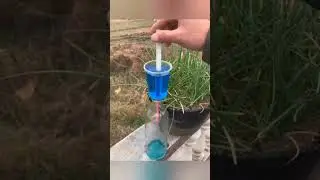 Water Experiment #shorts #cutecreatures