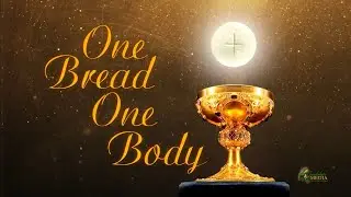 The Politically Incorrect Word | Daily Meditation - December 7th | One Bread One Body