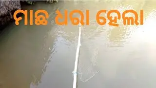 Macha dhara/macho dora