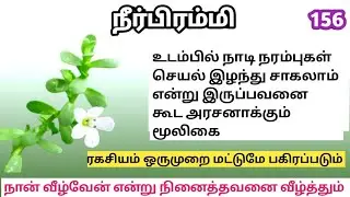 நீர்பிரம்மி/பிரம்மி/நீர்பிரமி/Bacopa monnieri/Neer pirami/Mooligai manithan