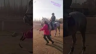#avellana