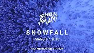 Jackson Snapp - Snowfall (Teaser) | Artist Intelligence Agency