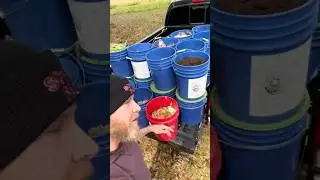 How to start a community compost program #compost #composting #community