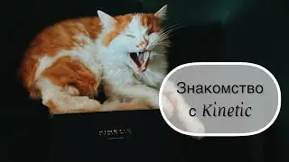 Новый бренд Kinetic Perfumes. Знакомимся вместе #leonawithcoffee