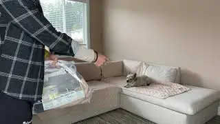 A Waterproof Machine Washable Cover For Your Sectional