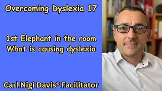 Overcoming Dyslexia 17: 1st Elephant in the room - What is causing dyslexia