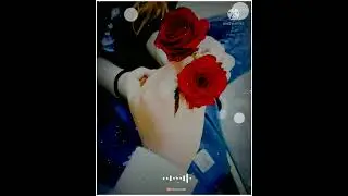 🌹Rose Day Special Status || Rose🌹 Day WhatsApp Status 2022 || Happy Rose🌹 Day Wishes
