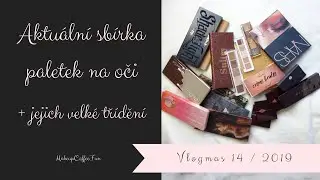 Vlogmas #14 | Aktuální sbírka paletek a jejich třídění 2019 | Palette collection & decluttering