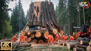 Extreme Dangerous Fastest Big Chainsaw Cutting Tree Machines | Monster Stump Removal Excavator #51