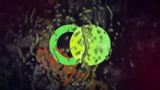 Product Of Us - Transcend (Radio Edit) // Area Verde