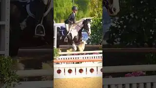 Ever seen a gypsy vanner jump? Or maybe it&rsquo;s just a cool looking pony?? Idk! #equestrain #horse